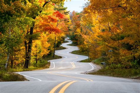 Winding Road in Autumn | Luke Collins Photography Print Store