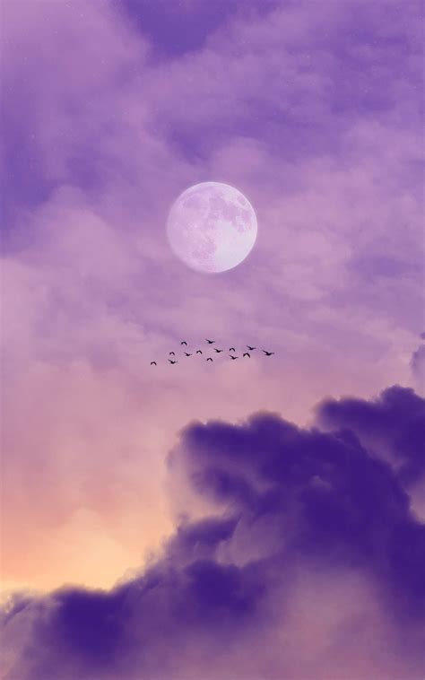 Download Light Purple Aesthetic Moon And Clouds Wallpaper | Wallpapers.com