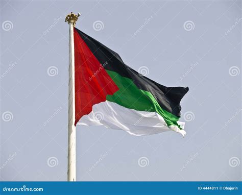 Arab Revolution Flag Stock Image - Image: 4444811