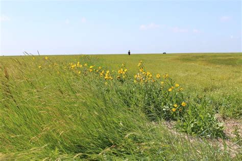 The Schleswig-Holstein National Park, Northern Germany. Stock Photo ...