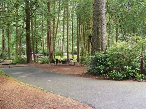 Jessie M Honeyman State Park, Florence, OR - GPS, Campsites, Rates, Photos, Reviews, Amenities ...