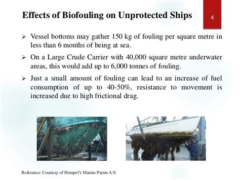 Anti fouling Coatings