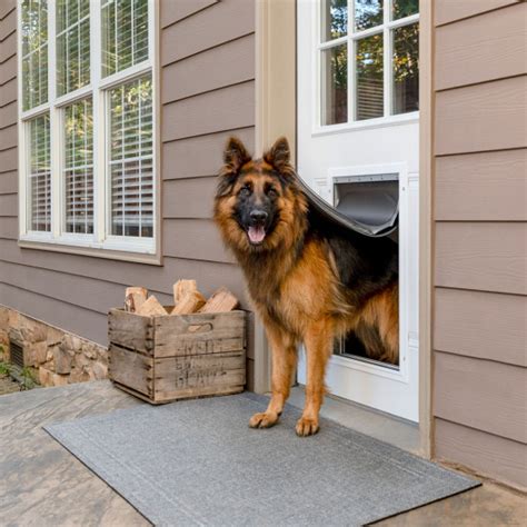 12 Practical Doggy Doors for Large Dogs (up to 220 lbs) - Hey, Djangles.