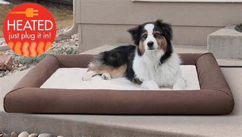 Heated Dog Blankets and Beds: Are They Useful and Safe for Our Pets?