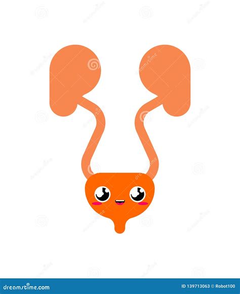 Kidney Cute. Funny Internal Organ Cartoon Style. Human Anatomy Kids Character Stock Vector ...