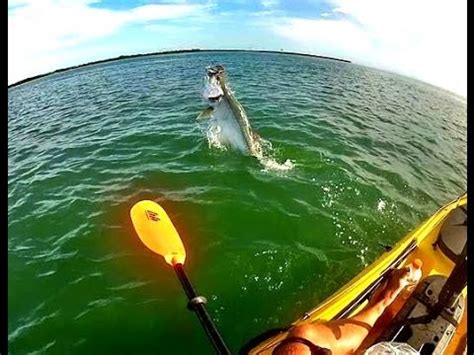 Florida Kayak Fishing: Key Biscayne Tarpon - YouTube