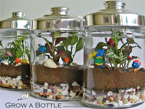 15+ Cool and Creative Terrarium Ideas