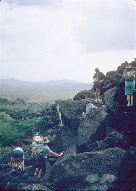 Cape York Peninsula | Queensland Places