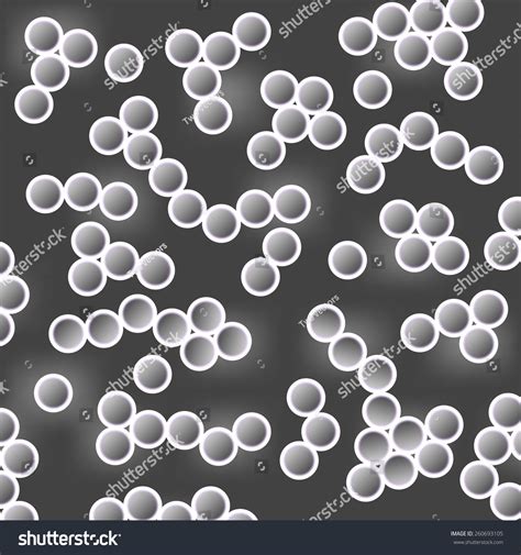 Dark Field Microscopy Bacteria