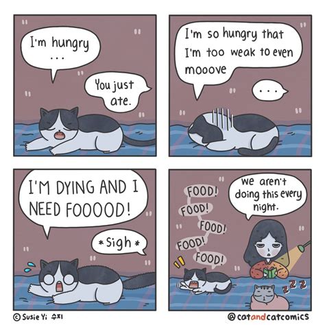 Cat & Cat Comics — Susie Yi