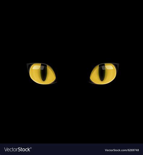 Yellow cat eyes Royalty Free Vector Image - VectorStock