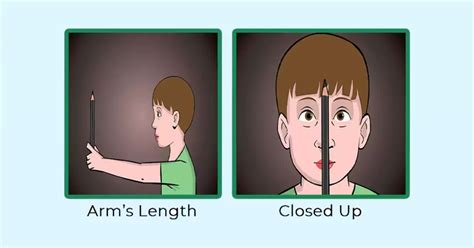 All About Binocular Vision - Thevisionpedia