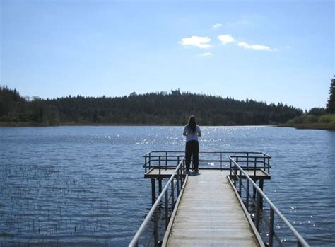 The Castle Lake, Bailieborough with 7km way-marked walking route | County cavan, Walking routes ...