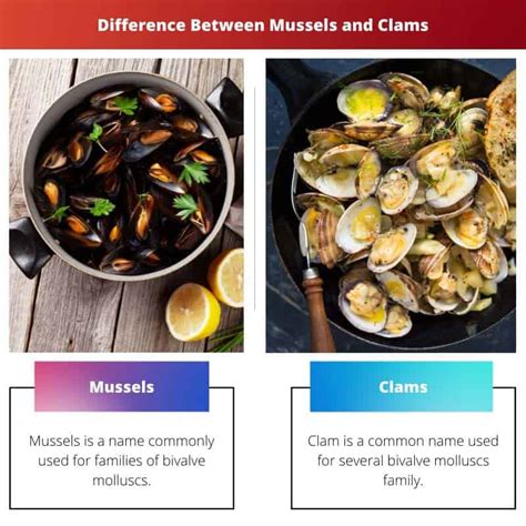 Mussels vs Clams: Difference and Comparison