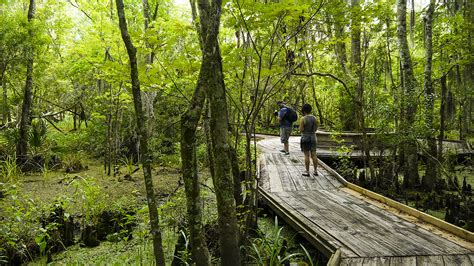 Barataria Preserve | The Cultural Landscape Foundation