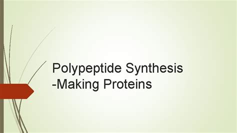 Polypeptide Synthesis Making Proteins DNA controls the cell