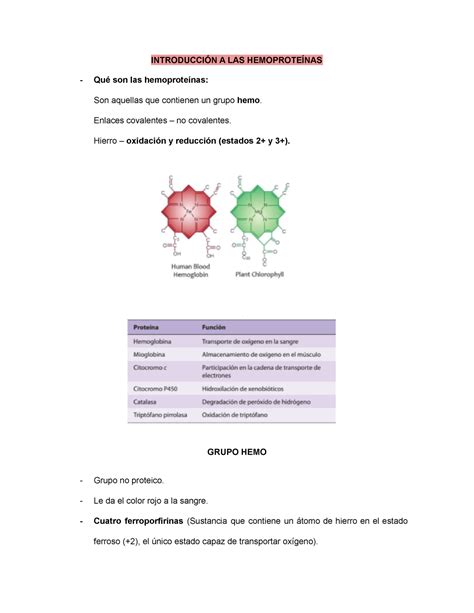 Introduccion A LAS Hemoproteinas - INTRODUCCIÓN A LAS HEMOPROTEÍNAS - Qué son las hemoproteínas ...