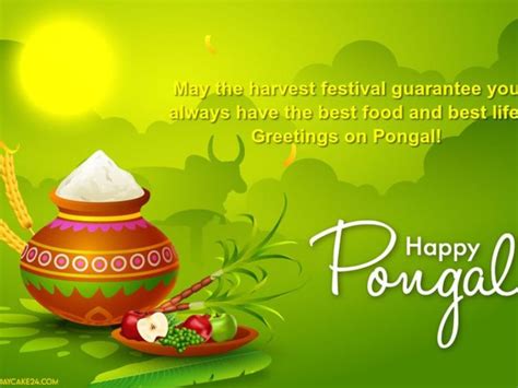 Pongal 2024 Wallpapers - Wallpaper Cave