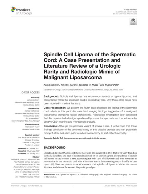 (PDF) Spindle Cell Lipoma of the Spermatic Cord: A Case Presentation ...