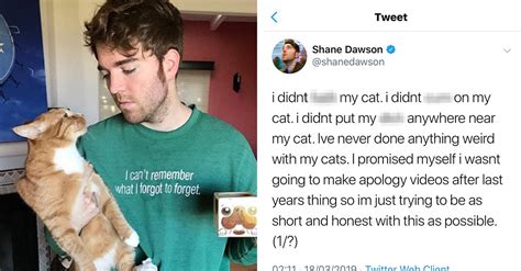 Shane Dawson Cat Meme