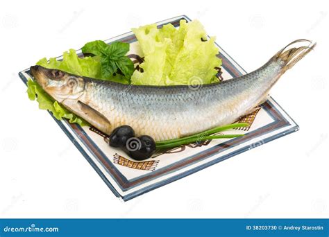 Salted Herring stock photo. Image of fresh, food, diet - 38203730