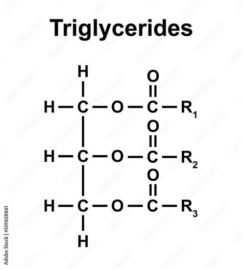 Vecteur Stock Chemical Structure Of Triglycerides. Vector Illustration. | Adobe Stock