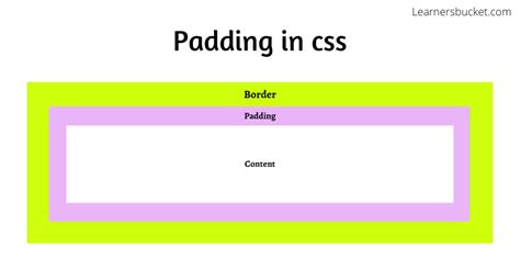 What is padding property of css. - LearnersBucket