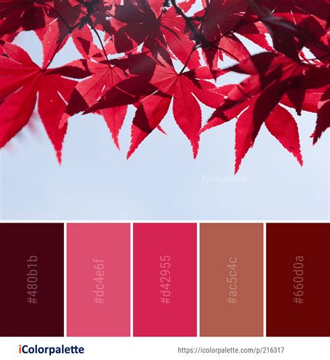 Color Palette Ideas from Red Leaf Maple Image | iColorpalette | Red ...