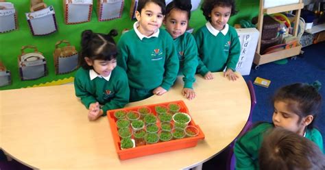 Farnham Green Primary School: Cress update from the nursery!