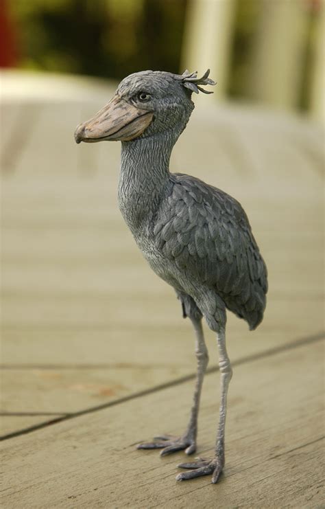 Shoebill 1:10