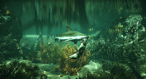 E3 2018: Maneater is an open-world RPG where you play as a shark - VG247