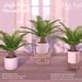 Second Life Marketplace - {wn} Sago Palm Plant (boxed)