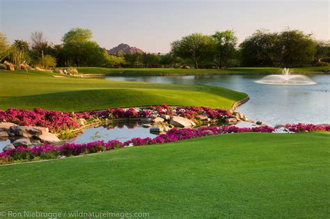 Phoenician Resort Golf Course | Photos by Ron Niebrugge