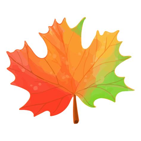 Watercolor Autumn Leaves, Hand painted decoration clipart 8848753 PNG