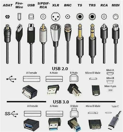 Different Types of Plugins : r/Interesting_Shit