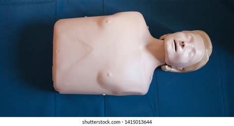 Cpr First Aid Dummy Training Stock Photo 1417570811 | Shutterstock