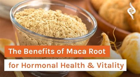 The Benefits of Maca Root for Hormonal Health & Vitality – Organixx