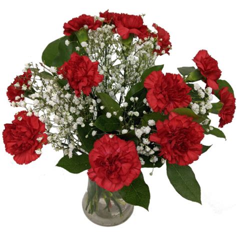 Red Carnations - BestFlowersOnline.co.uk