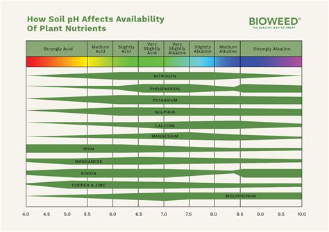 What Is Soil pH And Why It Matters - Bioweed