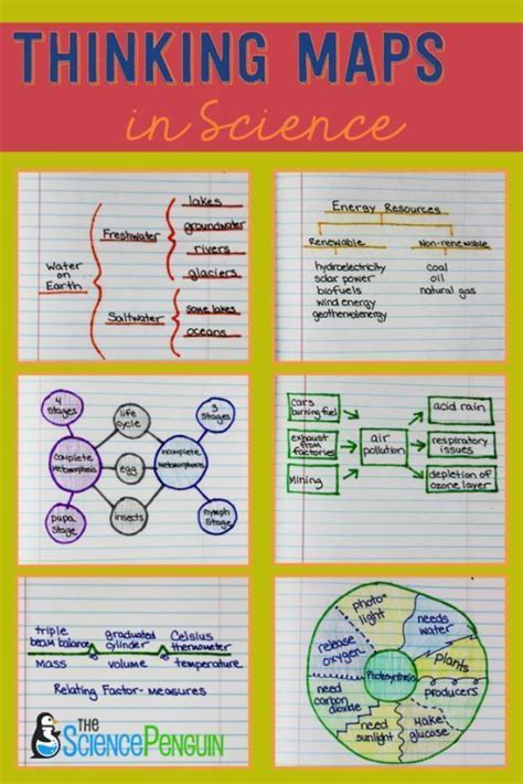 Science Thinking Maps: Examples and Pics