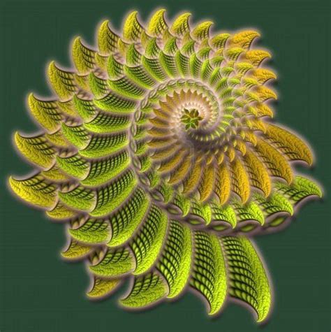 Fractals in Nature Sacred Geometry Meanings, Sacred Geometry Patterns ...