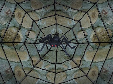 Giant Spider Web With Spider - Spooky Halloween Decor