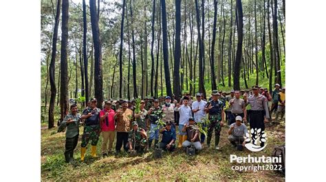 Perhutani Perhutani Pasuruan Bersama Stakeholders Hijaukan Bumi dengan ...