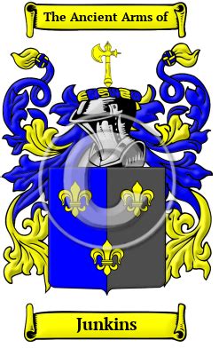 Junkins Name Meaning, Family History, Family Crest & Coats of Arms