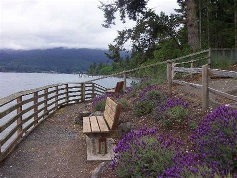 THE 15 BEST Things to Do in Sequim - 2022 (with Photos) - Tripadvisor