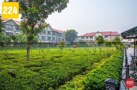 Mayfair Tea Resort Siliguri - First Boutique Tea Resort In Siliguri