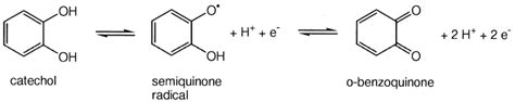 Chemical properties of catechols and their molecular modes of toxic ...