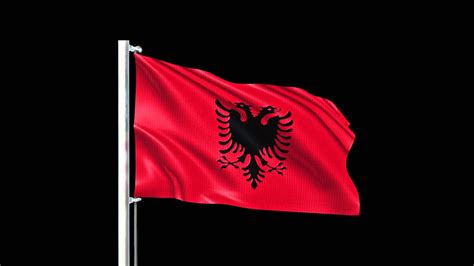 Albania Flag | Independence day Celebrations of Albania