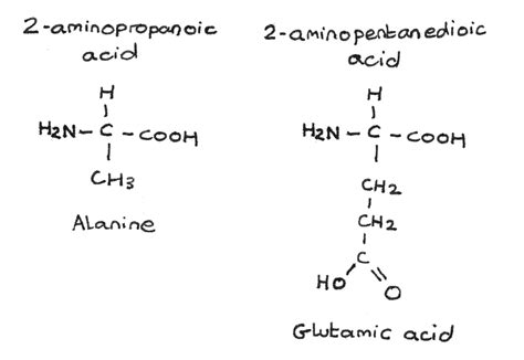 Amines And Amino Acids - Revise.im