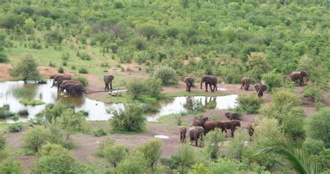 Zambezi National Park | Safari in Zimbabwe